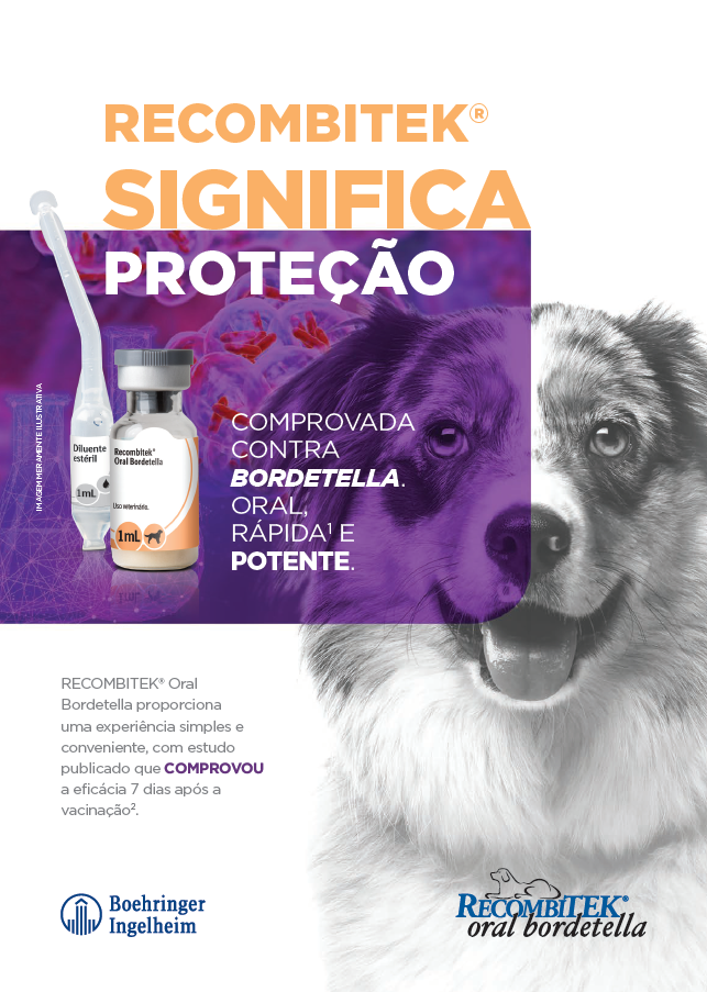 bconnect Conexão com o conhecimento